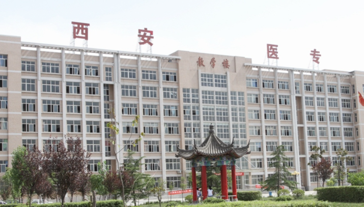 寧夏中醫(yī)康復(fù)技術(shù)專(zhuān)業(yè)大學(xué)排名及分?jǐn)?shù)線(xiàn)一覽表