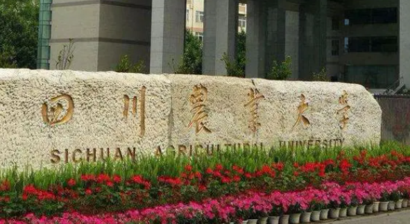 山西藥物制劑專業(yè)大學(xué)排名及分數(shù)線一覽表