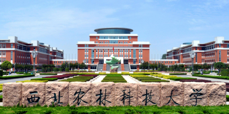 山西智慧農(nóng)業(yè)專(zhuān)業(yè)大學(xué)排名及分?jǐn)?shù)線一覽表