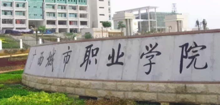 海南大數(shù)據(jù)與會計專業(yè)大學排名及分數(shù)線一覽表