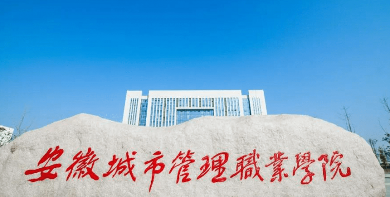 安徽智慧健康養(yǎng)老服務(wù)與管理專業(yè)大學(xué)排名及分?jǐn)?shù)線一覽表