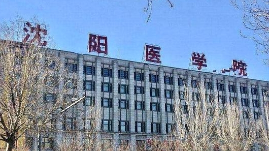 2023沈陽(yáng)醫(yī)學(xué)院排名全國(guó)第幾名（2024年參考）