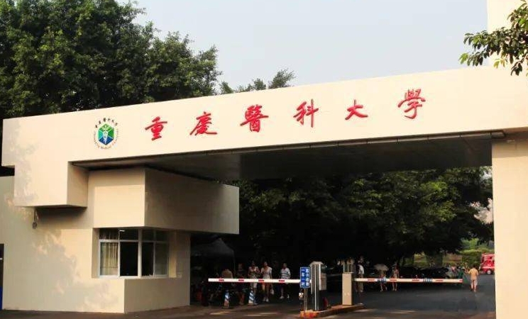 2023重慶醫(yī)科大學(xué)排名全國(guó)第幾名（2024年參考）