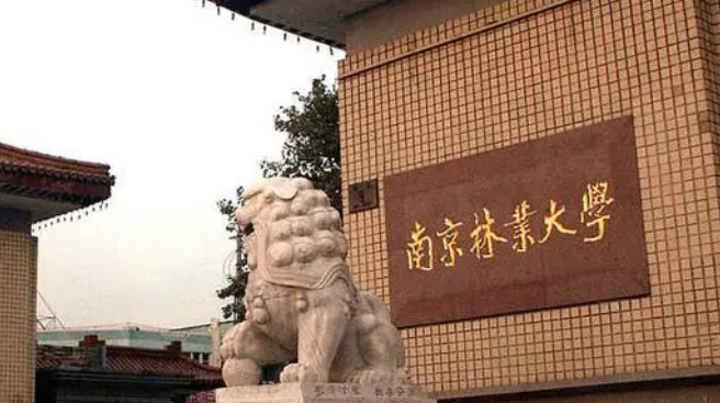 南京林業(yè)大學(xué)全國第幾名（2024年參考）