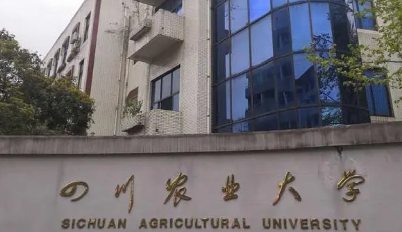 四川農(nóng)業(yè)大學(xué)全國(guó)第幾名（2024年參考）