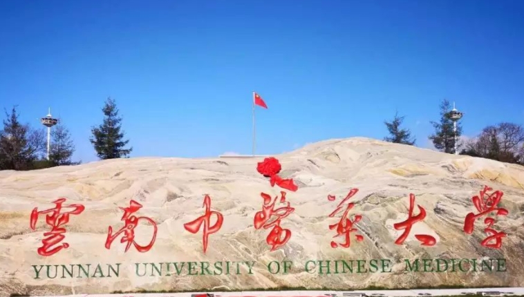 云南中醫(yī)藥大學(xué)全國第幾名（2024年參考）