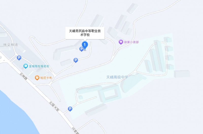 天峨縣民族中等職業(yè)技術(shù)學(xué)校地址，乘車路線