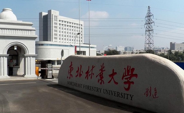 東北林業(yè)大學(xué)是什么樣的大學(xué) 985還是211高校（附王牌特色專業(yè)）