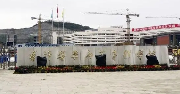 2024畢節(jié)醫(yī)學(xué)高等?？茖W(xué)校重點(diǎn)特色專業(yè)匯總表