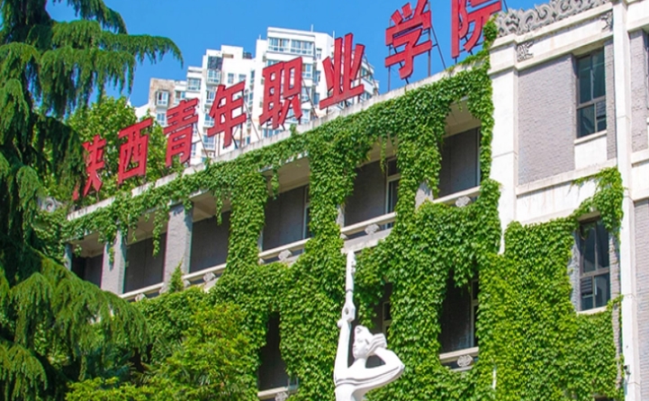 2024陜西青年職業(yè)學(xué)院重點(diǎn)特色專(zhuān)業(yè)匯總表