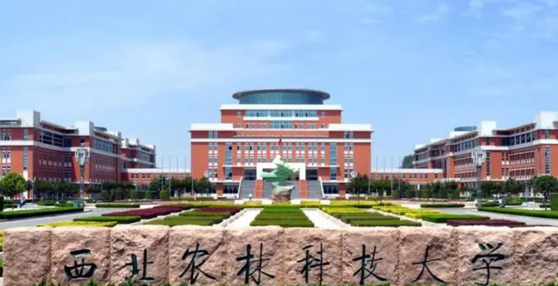 西北農(nóng)林科技大學(xué)評(píng)價(jià)怎么樣,學(xué)校好不好