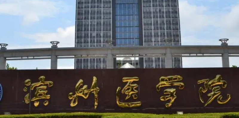 濱州醫(yī)學院是幾本院校 985還是211高校（附重點專業(yè)）