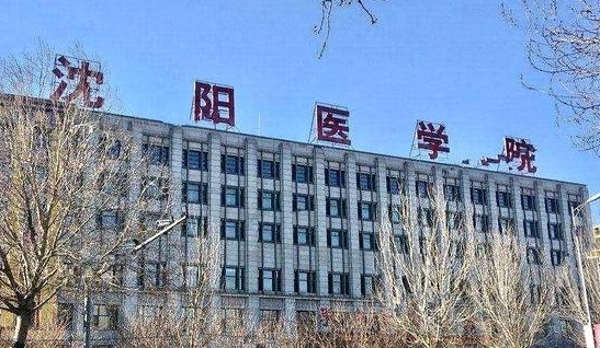2024沈陽醫(yī)學(xué)院評價怎么樣,學(xué)校好不好