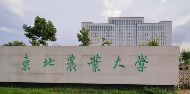 在黑龍江高考465分算什么水平（近三年）黑龍江高考465分能上的大學 