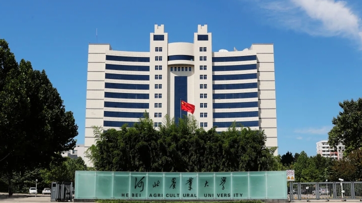 2023河北農(nóng)業(yè)大學高考錄取分數(shù)線是多少（2024參考）