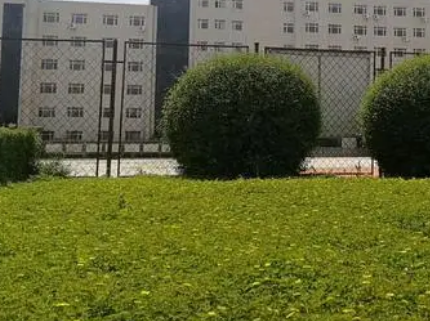 黑龍江2024年哪個中專學(xué)校就業(yè)好