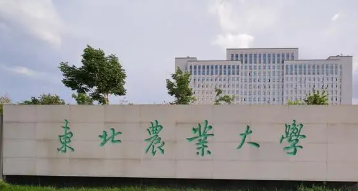 2023東北農(nóng)業(yè)大學(xué)高考錄取分?jǐn)?shù)線是多少（2024參考）