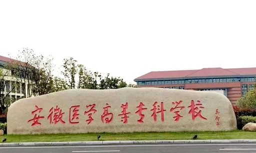 2024安徽醫(yī)學高等?？茖W校專業(yè)排行榜 