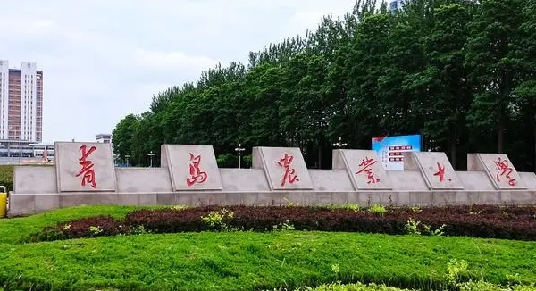 2024青島農(nóng)業(yè)大學(xué)專業(yè)排行榜 