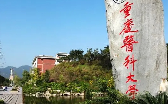 2024重慶醫(yī)科大學專業(yè)排行榜 