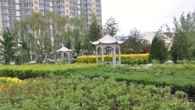 朔州市應(yīng)縣第六綜合高中網(wǎng)站網(wǎng)址主頁