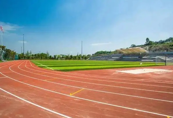 2024重慶市第八中學(xué)校(沙坪壩校區(qū))招生計(jì)劃 招生人數(shù)是多少(附要求、條件、對(duì)象)