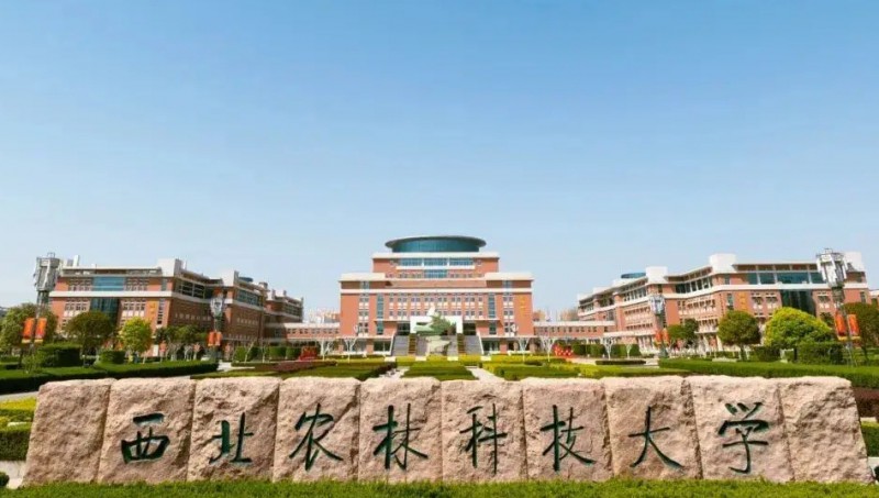 2024中國三線城市大學ABC排名