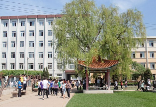 大學(xué)生西部計(jì)劃待遇怎么樣？需要什么條件？是學(xué)校給名額嗎？