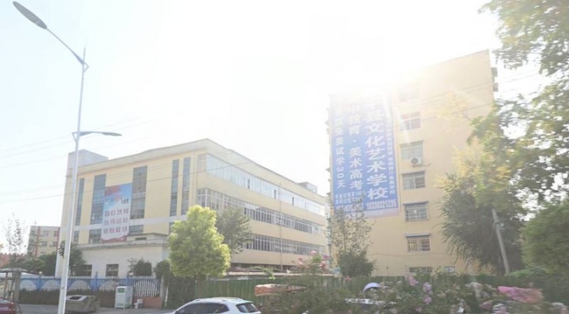 2024鎮(zhèn)平縣文化藝術(shù)學(xué)校招生計(jì)劃 招生人數(shù)是多少(附要求、條件、對(duì)象)