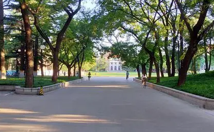 2024河南考生如何用好一分一段表？附往年河南理科成績排名
