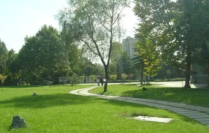2024年河南高考志愿是平行志愿嗎？附錄取規(guī)則