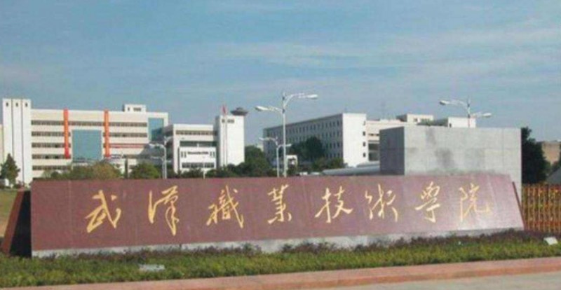 2024武漢?？拼髮W(xué)有哪些？附武漢?？茖W(xué)校排名前十名單