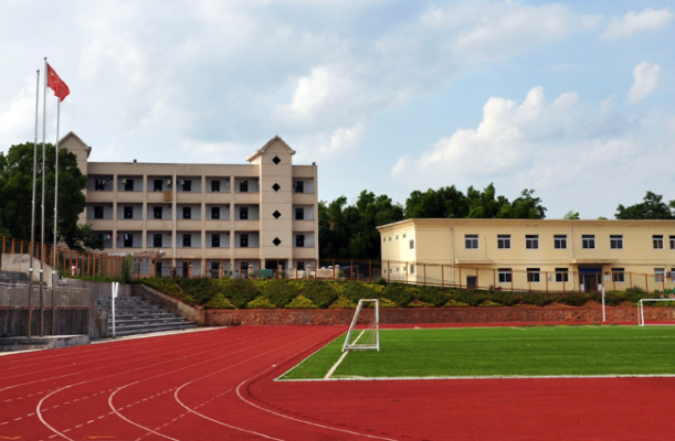 2024中國大學(xué)國際商務(wù)專業(yè)排名一覽表（研究型）