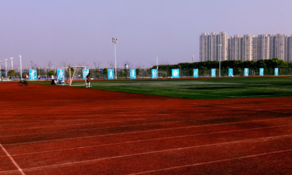 2024中國(guó)大學(xué)小學(xué)教育專(zhuān)業(yè)排名一覽表（研究型）