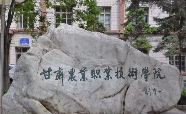 寧夏高考211分能上什么大學(xué)（2024年參考）