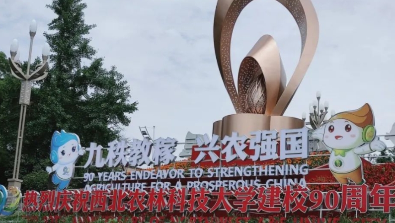 內(nèi)蒙古高考515分能上什么大學（2024年參考）
