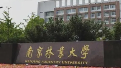 內(nèi)蒙古高考464分能上什么大學（2024年參考）