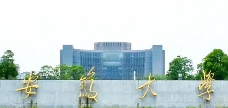 上海高考542分能上什么大學(xué)（2024年參考）