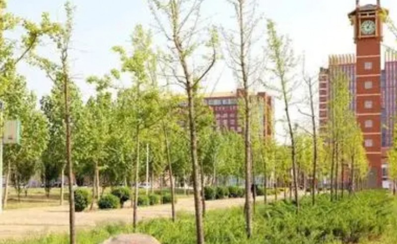 晉州市第一中學(xué)怎么樣、好不好