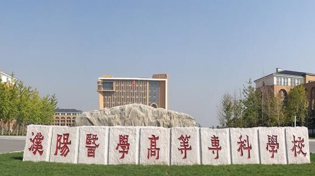 濮陽醫(yī)學高等?？茖W校中外合作辦學學費（2024）