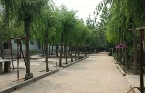 行唐曙光中學(xué)怎么樣、好不好