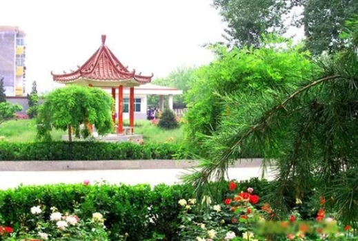 靈壽護(hù)駕疃高級(jí)中學(xué)怎么樣、好不好