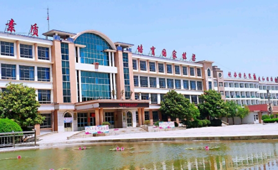 德科技職業(yè)技術(shù)學(xué)院藝術(shù)類學(xué)費(fèi)（2024）