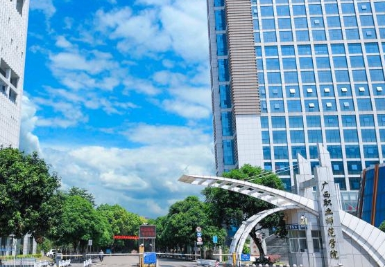 廣西職業(yè)師范學(xué)院藝術(shù)類學(xué)費(fèi)（2024）