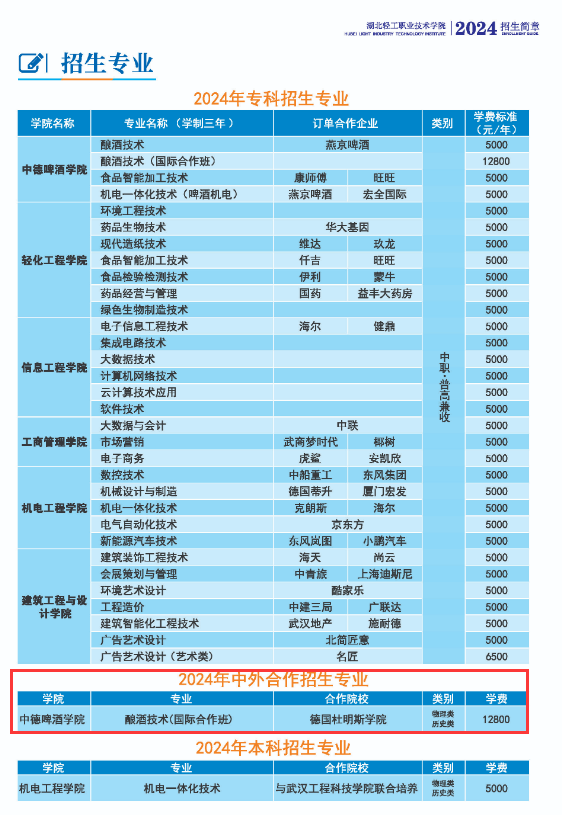 湖北輕工職業(yè)技術(shù)學(xué)院中外合作辦學(xué)專業(yè)有哪些？