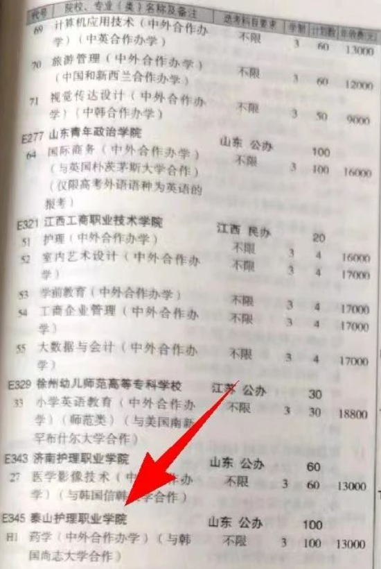 泰山護(hù)理職業(yè)學(xué)院中外合作辦學(xué)專業(yè)有哪些？