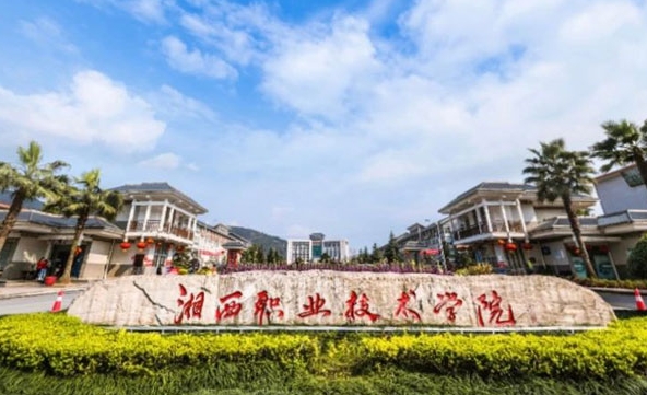 湘西民族職業(yè)技術學院藝術類學費（2024）