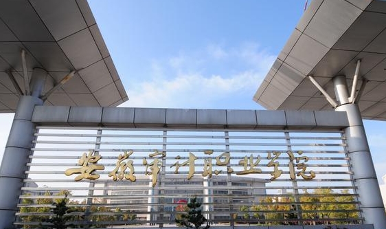 安徽審計(jì)職業(yè)學(xué)院中外合作辦學(xué)專業(yè)一覽 （2024）