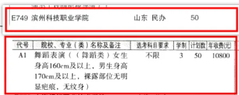 2024濱州科技職業(yè)學(xué)院藝術(shù)類學(xué)費(fèi)多少錢(qián)一年-各專業(yè)收費(fèi)標(biāo)準(zhǔn)