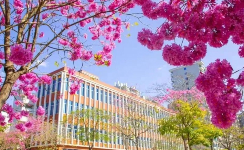 2024廣州涉外經(jīng)濟職業(yè)技術(shù)學(xué)院中職部招生計劃 招生人數(shù)是多少(附要求、條件、對象)